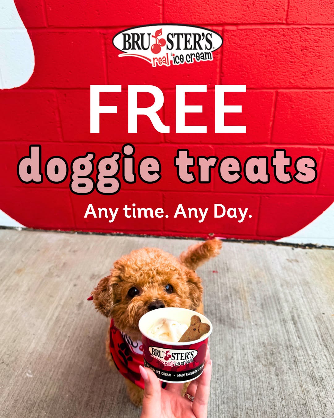 Free Doggie Treats at Bruster's Eastvale