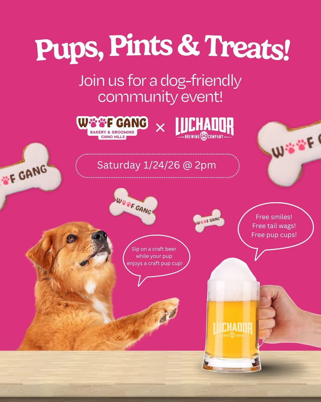 Free Pup Cups at Luchador Brewing Company on 1/24
